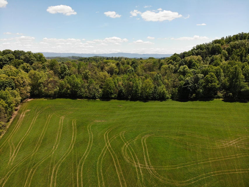 Photo #9: Tbd Countiss Road Road