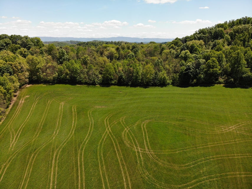 Photo #11: Tbd Countiss Road Road