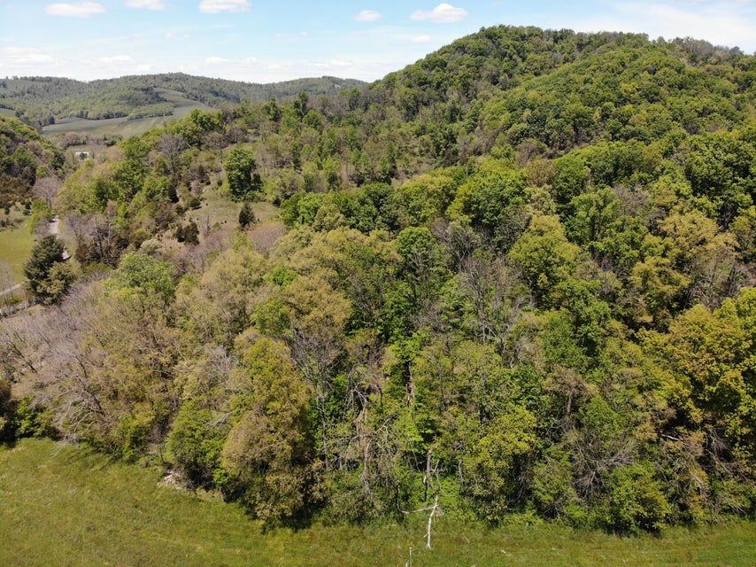 Photo #5: Tbd Harleywood Road