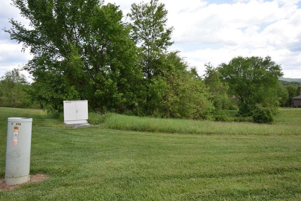 Photo #2: 118 Richmond Avenue