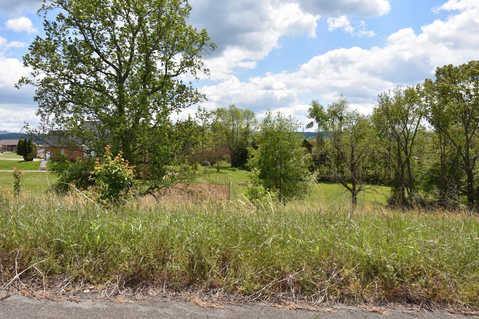 Photo #2: 507 Conner Lyons Drive
