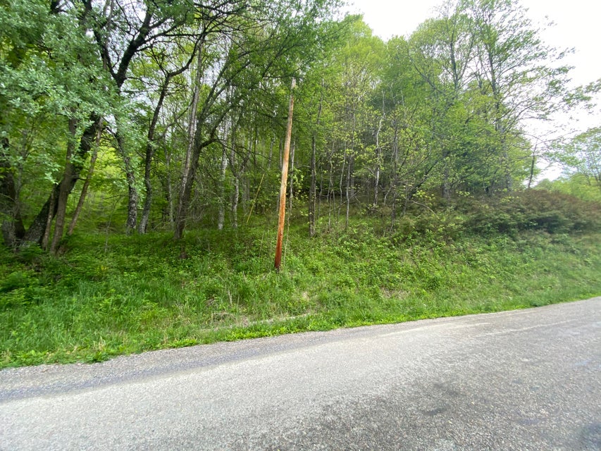 Photo #5: 280 Fall Branch Road