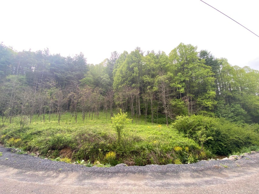 Photo #6: 280 Fall Branch Road