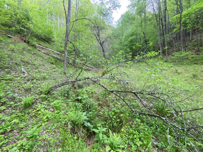 Photo #8: 280 Fall Branch Road