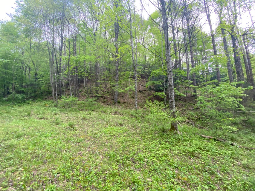 Photo #9: 280 Fall Branch Road