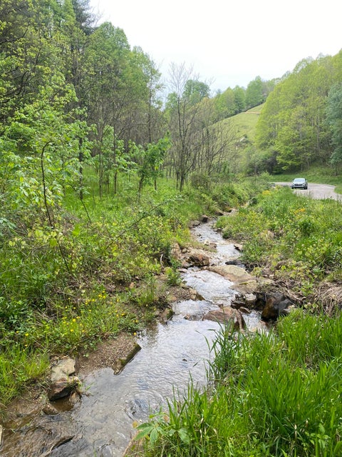 Photo #11: 280 Fall Branch Road
