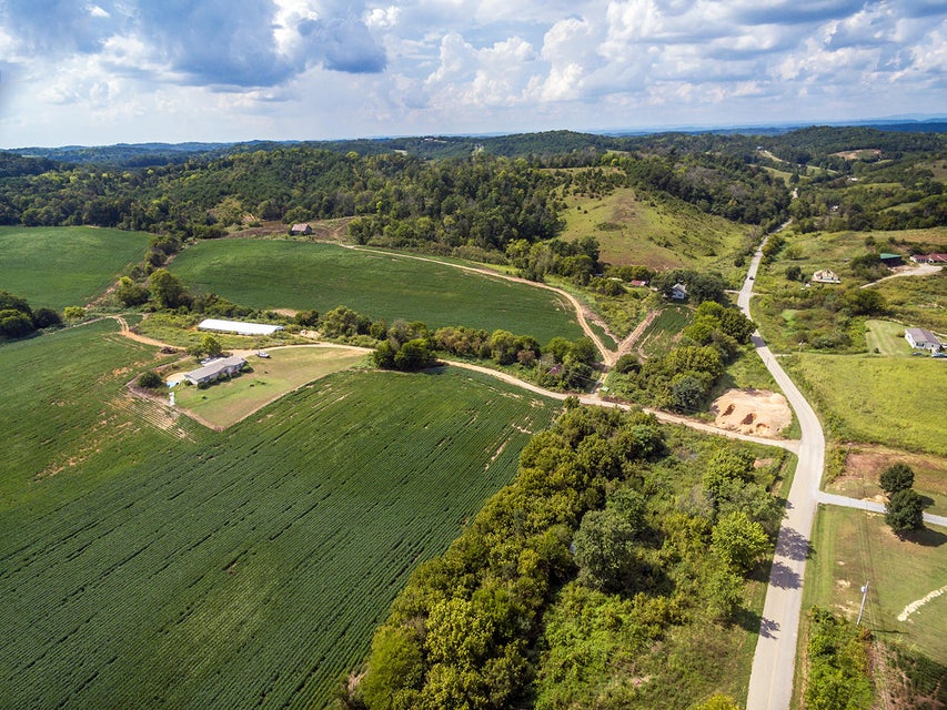 Photo #5: Tbd 31 Acr Poplar Springs Rd