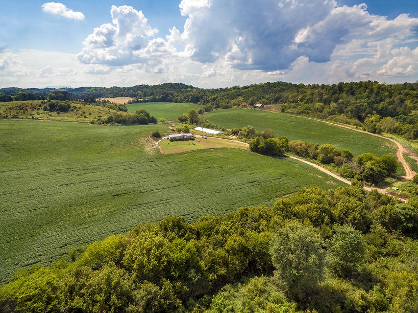 Photo #6: Tbd 31 Acr Poplar Springs Rd