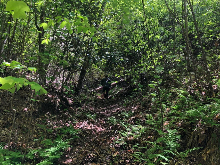 Photo #24: 321 Smith Hollow Road