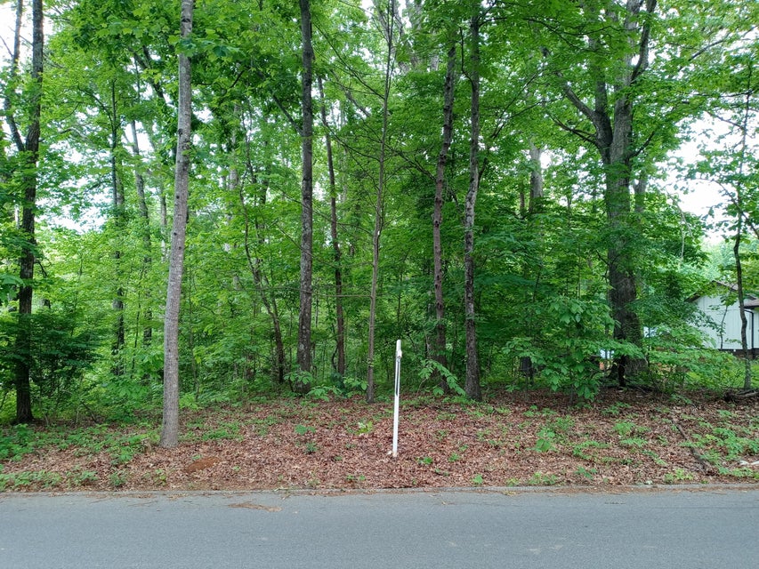 Photo #2: Tbd Dover Avenue