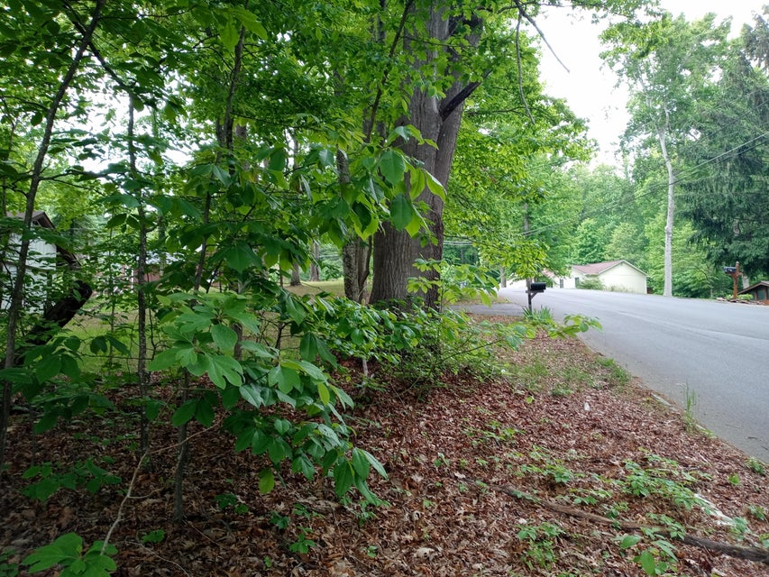 Photo #3: Tbd Dover Avenue