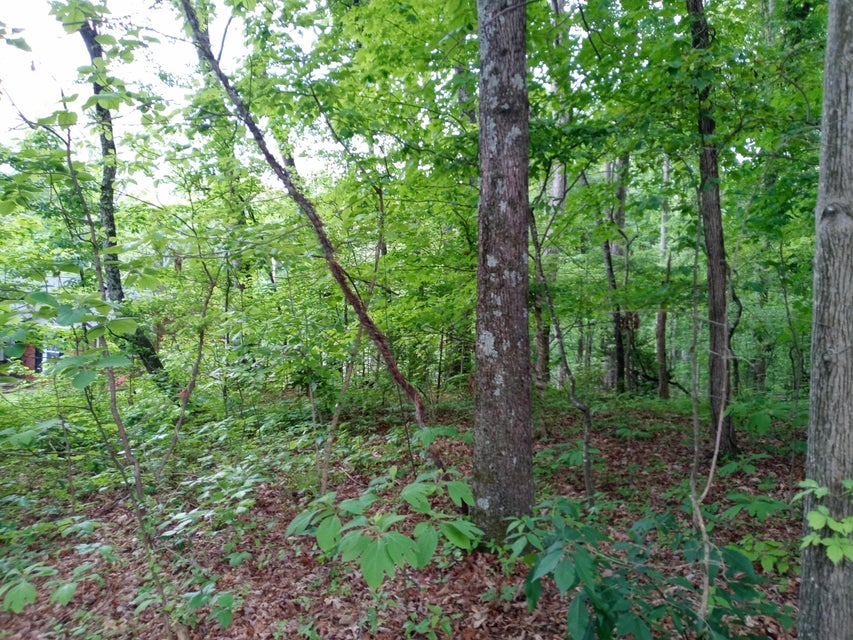 Photo #4: Tbd Dover Avenue