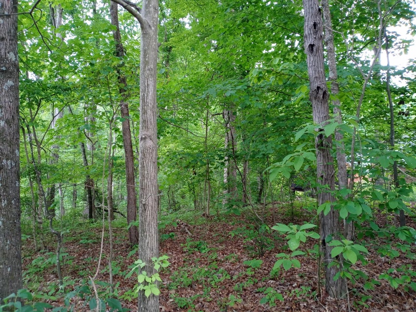 Photo #5: Tbd Dover Avenue