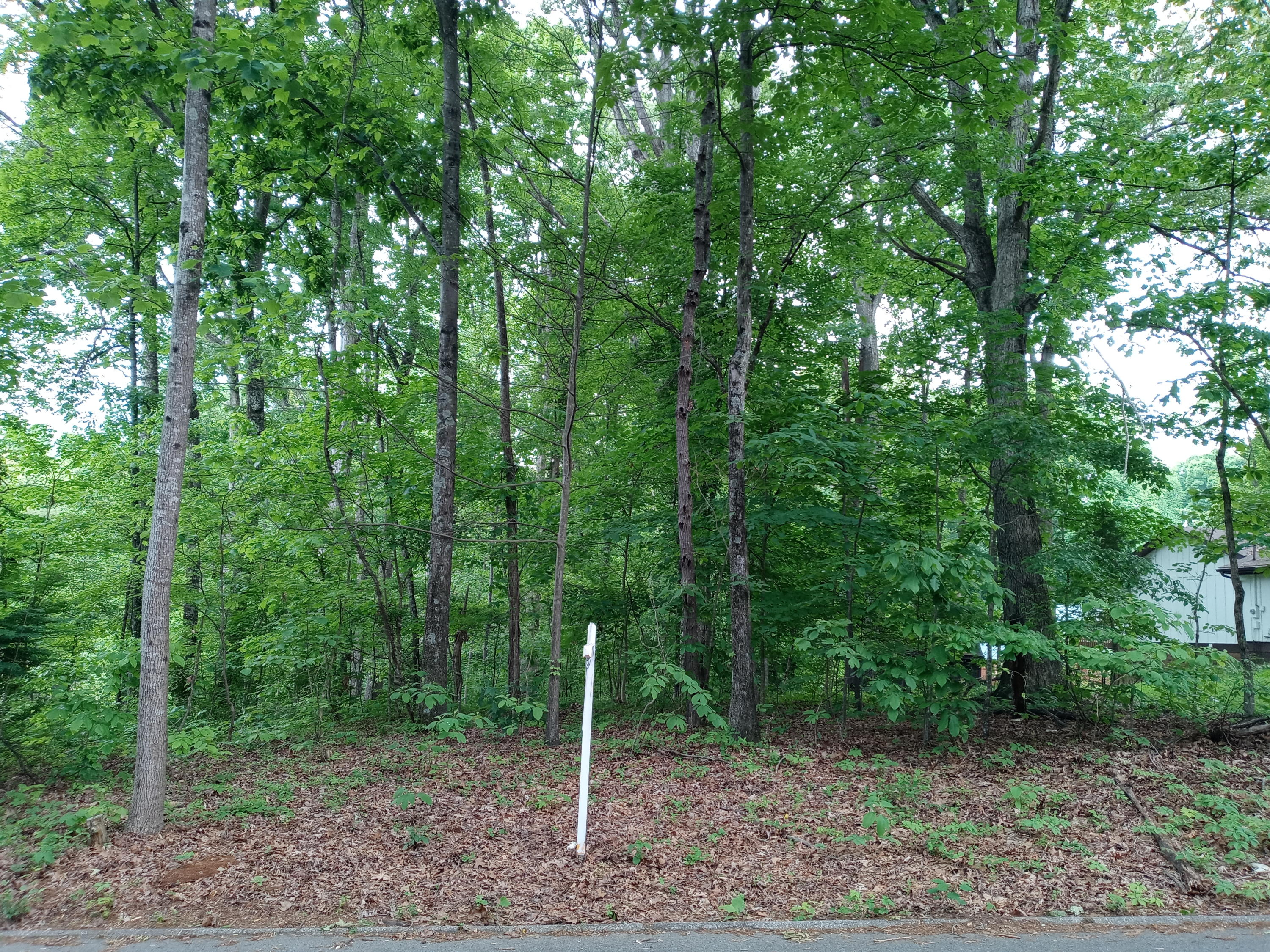 Photo #6: Tbd Dover Avenue