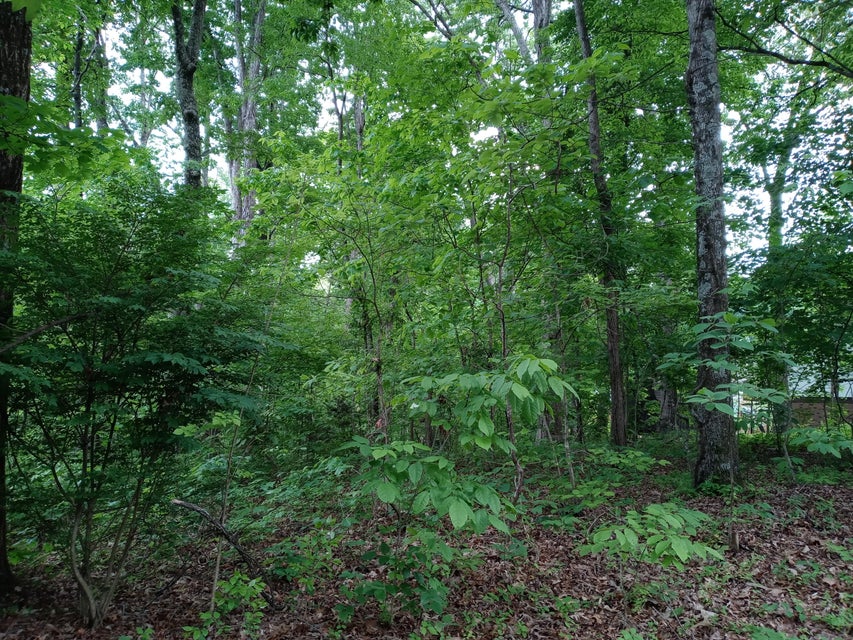 Photo #8: Tbd Dover Avenue