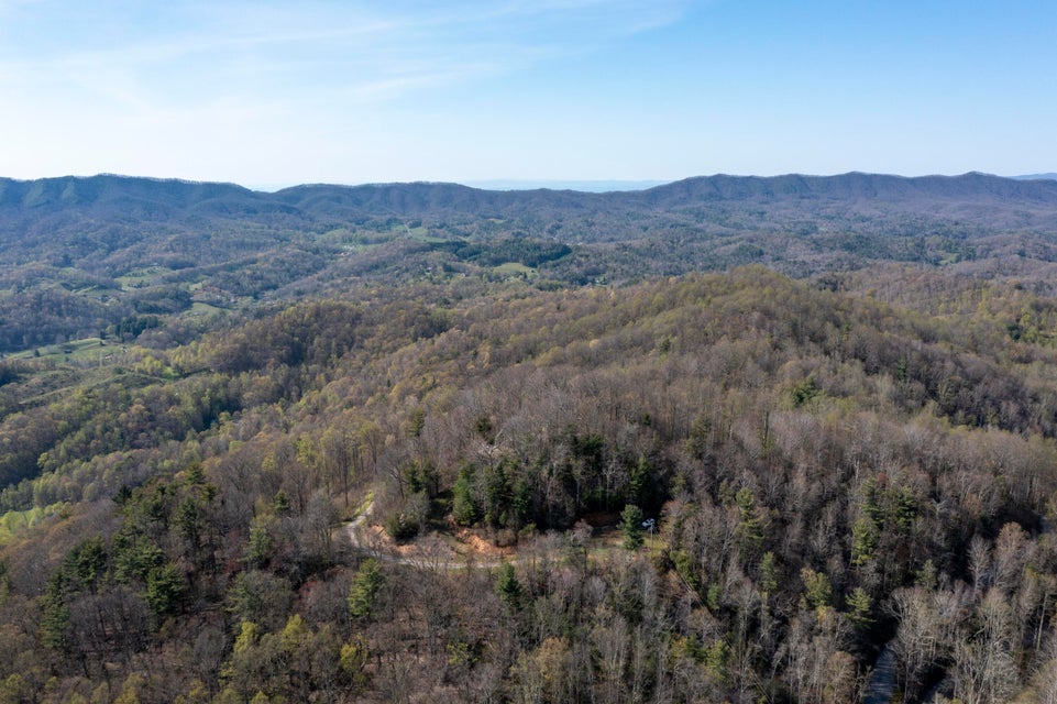 Photo #38: 1 Ridgetop Lane