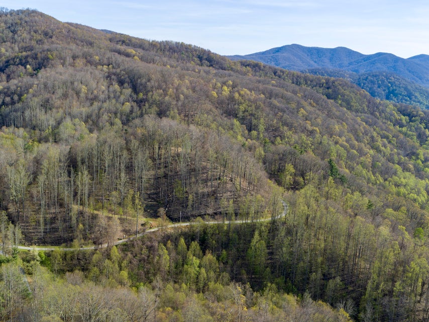 Photo #43: 1 Ridgetop Lane