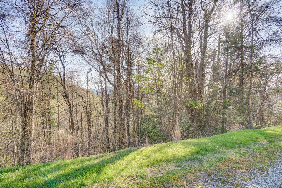 Photo #46: 1 Ridgetop Lane