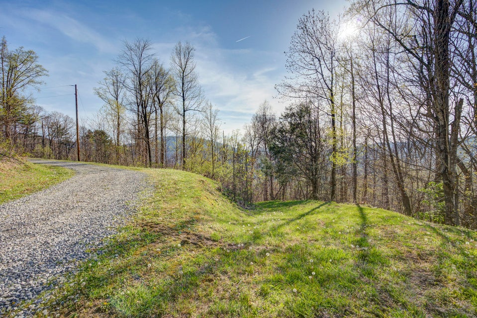 Photo #50: 1 Ridgetop Lane