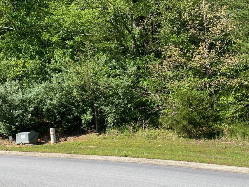 Photo #1: 00 River Pointe Dr Lot 59