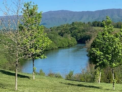 Photo #5: 00 River Pointe Dr Lot 59