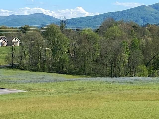 Photo #9: 00 River Pointe Dr Lot 59