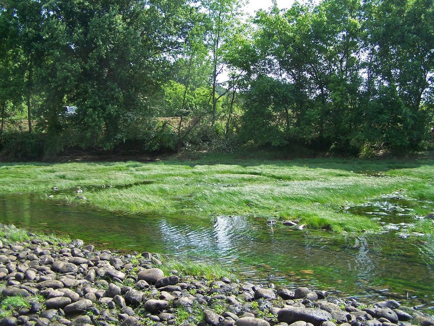 Photo #7: 0 Cherokee Explosive Road
