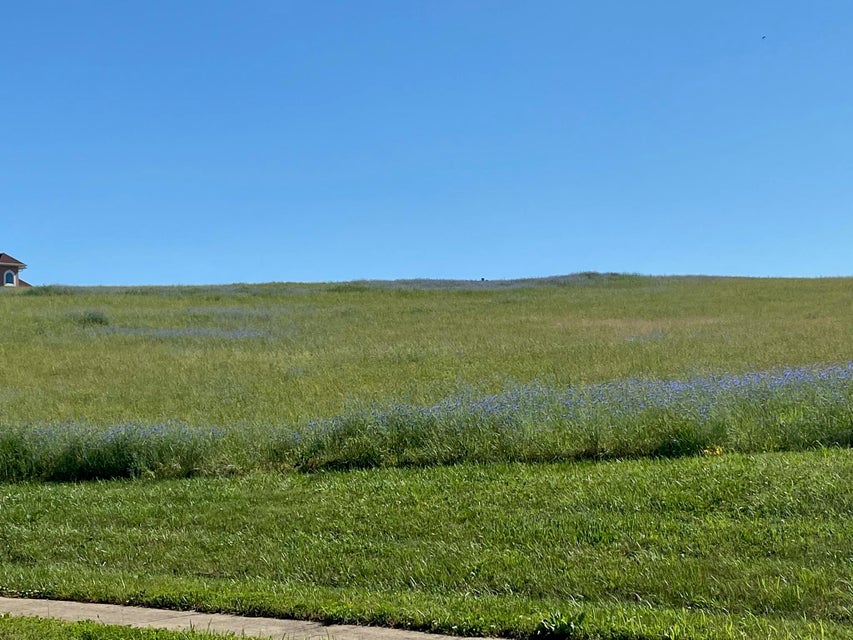 Photo #1: 00 River Pointe Dr Lot 94