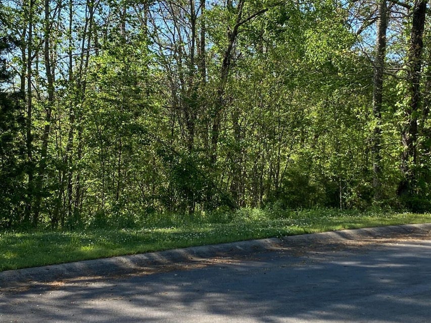 Photo #1: 00 Links View Dr Lot 24