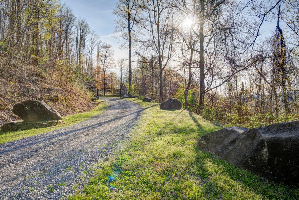 Photo #5: 4 Ridgetop Lane