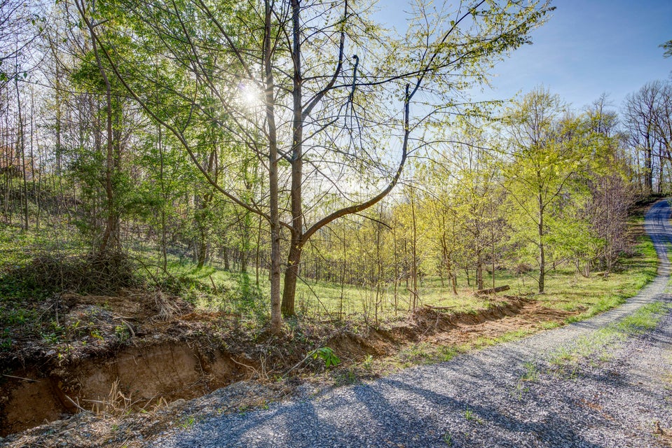 Photo #6: 4 Ridgetop Lane