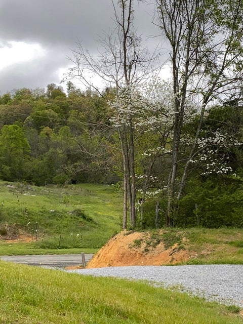 Photo #13: 5160 Old Stage Rd.