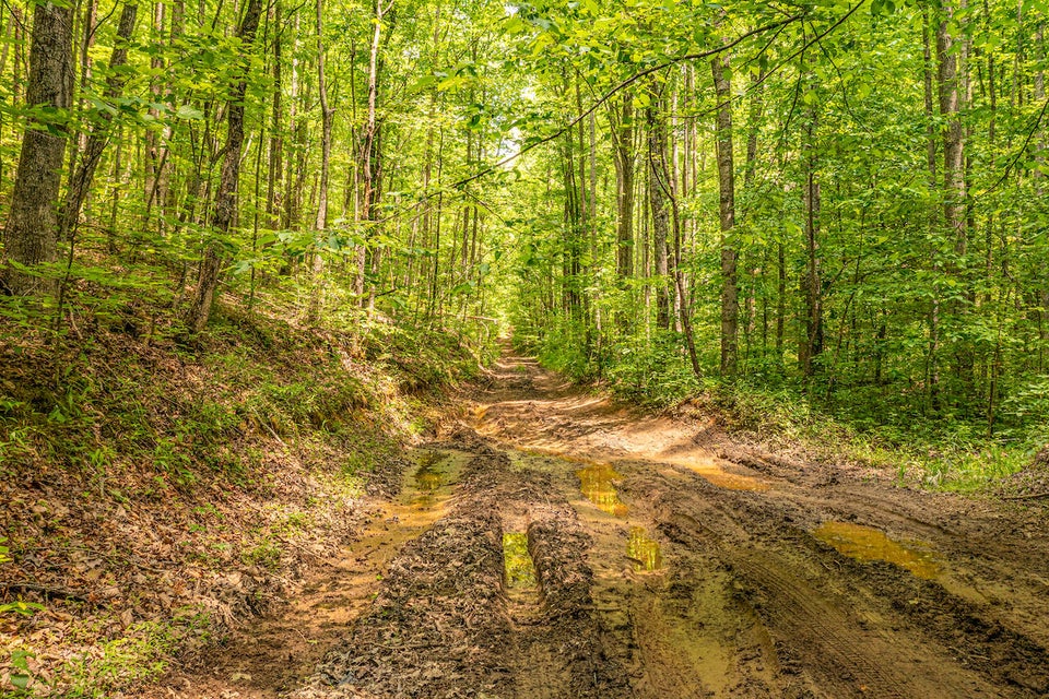 Photo #1: 0 Butterfly Hollow Road