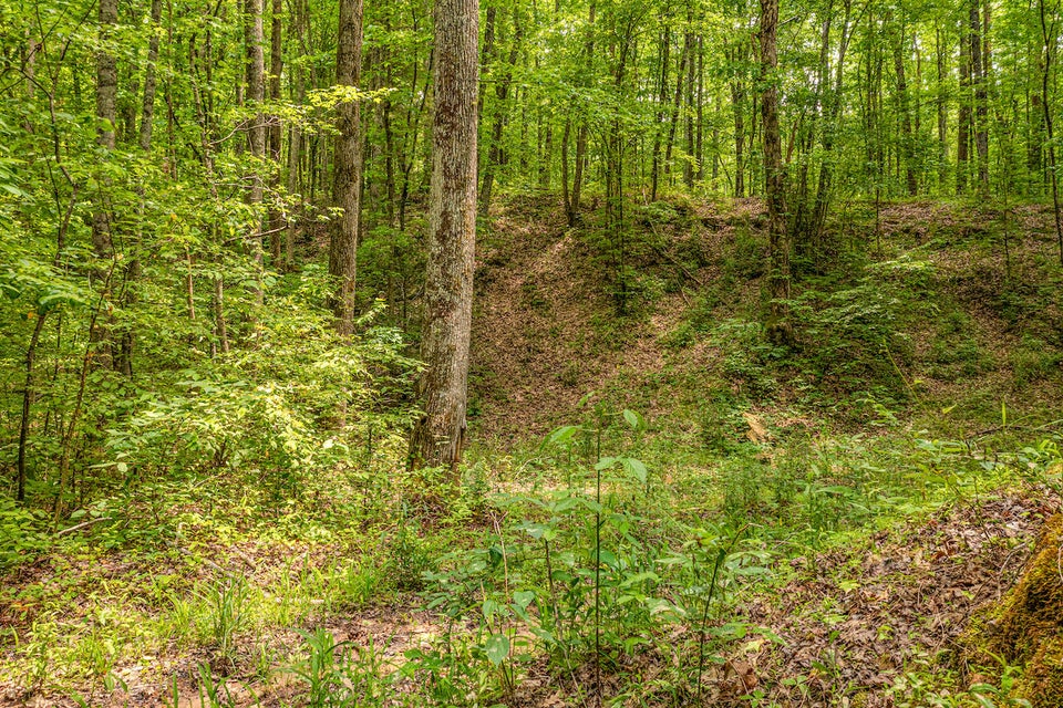 Photo #2: 0 Butterfly Hollow Road