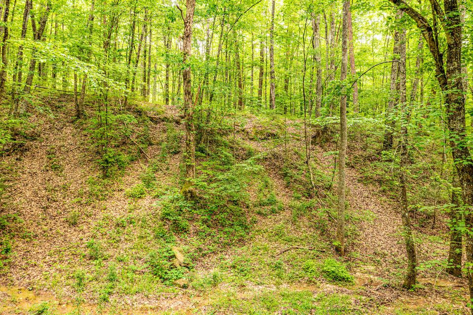 Photo #3: 0 Butterfly Hollow Road