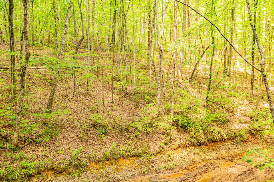Photo #6: 0 Butterfly Hollow Road