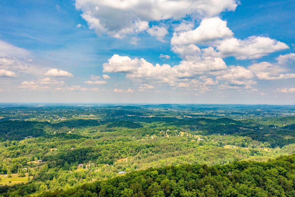 Photo #16: 0 Butterfly Hollow Road