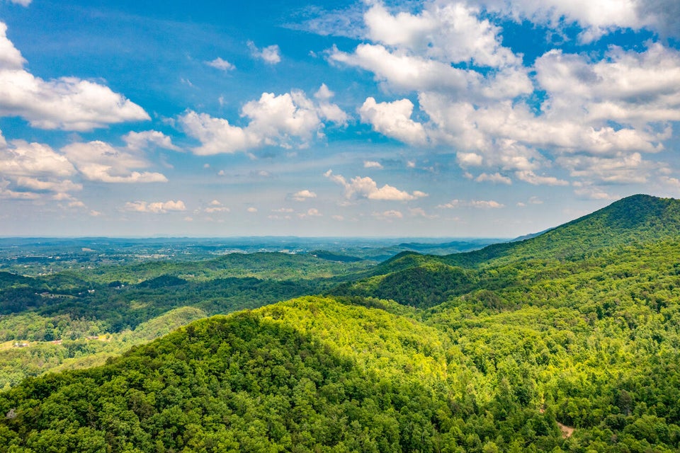 Photo #17: 0 Butterfly Hollow Road