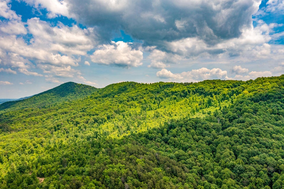 Photo #18: 0 Butterfly Hollow Road