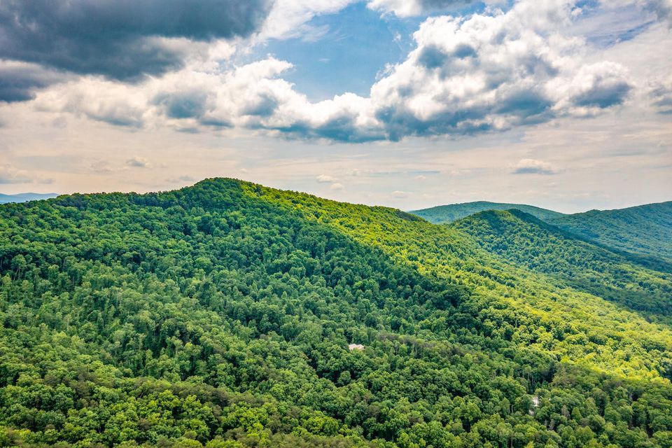 Photo #20: 0 Butterfly Hollow Road