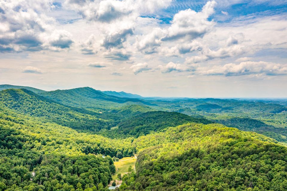Photo #21: 0 Butterfly Hollow Road