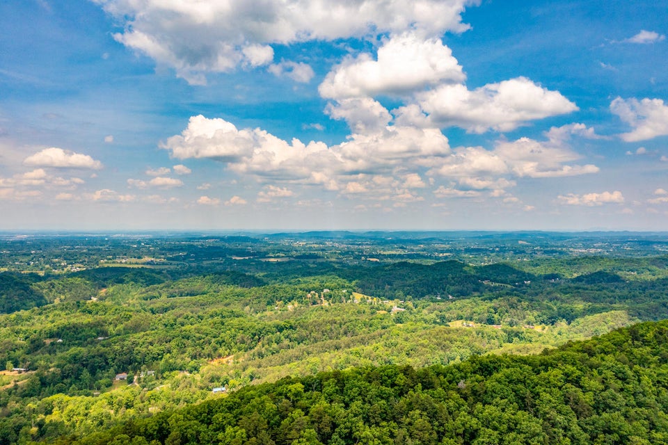 Photo #23: 0 Butterfly Hollow Road