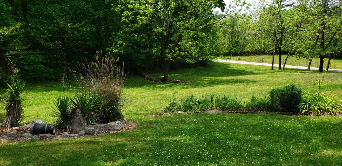 Photo #15: 151 County Road 681