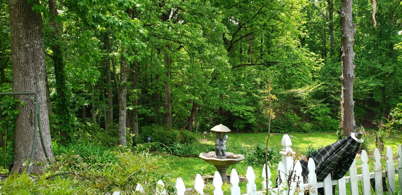 Photo #11: 151 County Road 681
