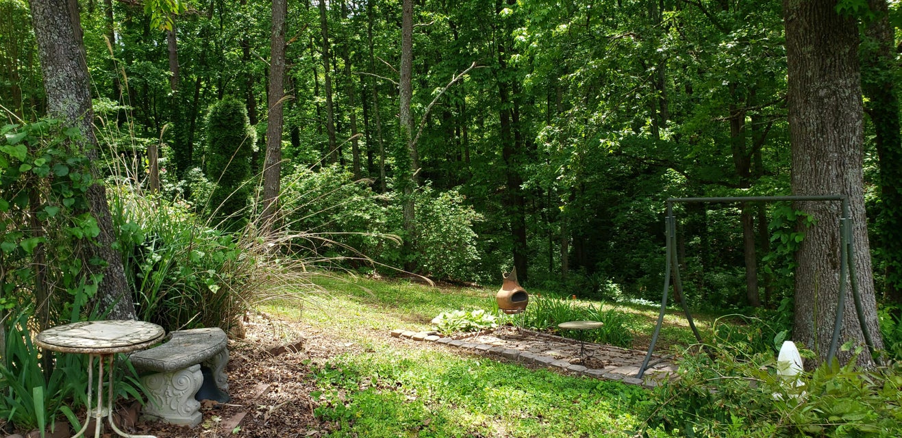 Photo #14: 151 County Road 681