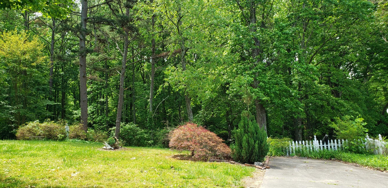 Photo #8: 151 County Road 681