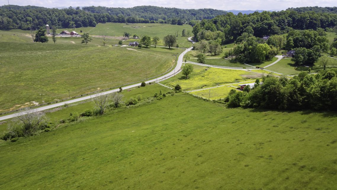 Photo #7: Tbd Boones Creek Road