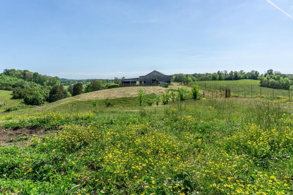 Photo #8: 70 Collins Road