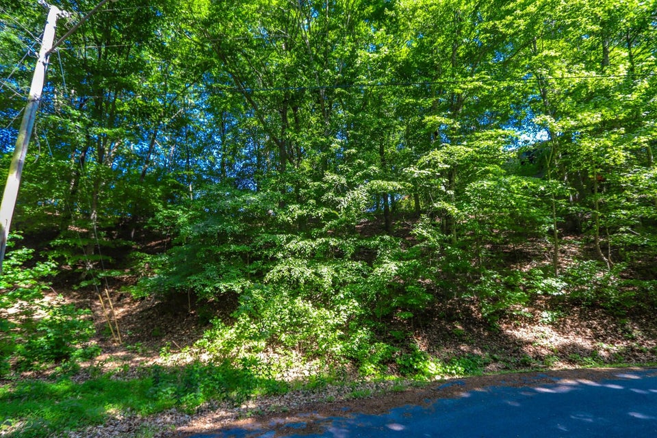 Photo #19: Lot 41 Lake Vista Drive