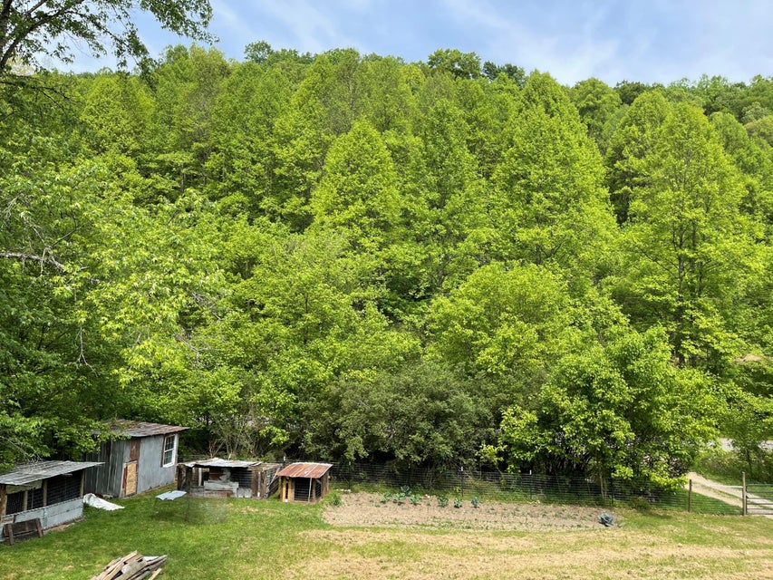 Photo #22: 1075 Crabtree Hollow